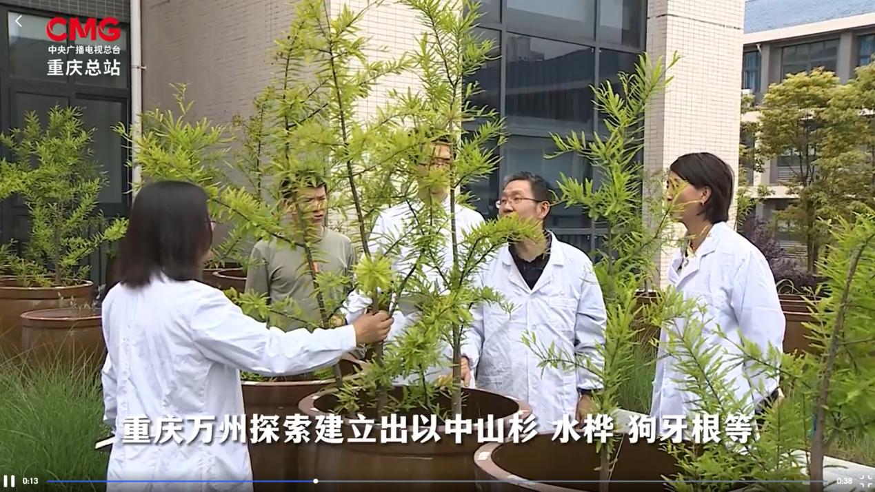 太阳成集团tyc122ccvip