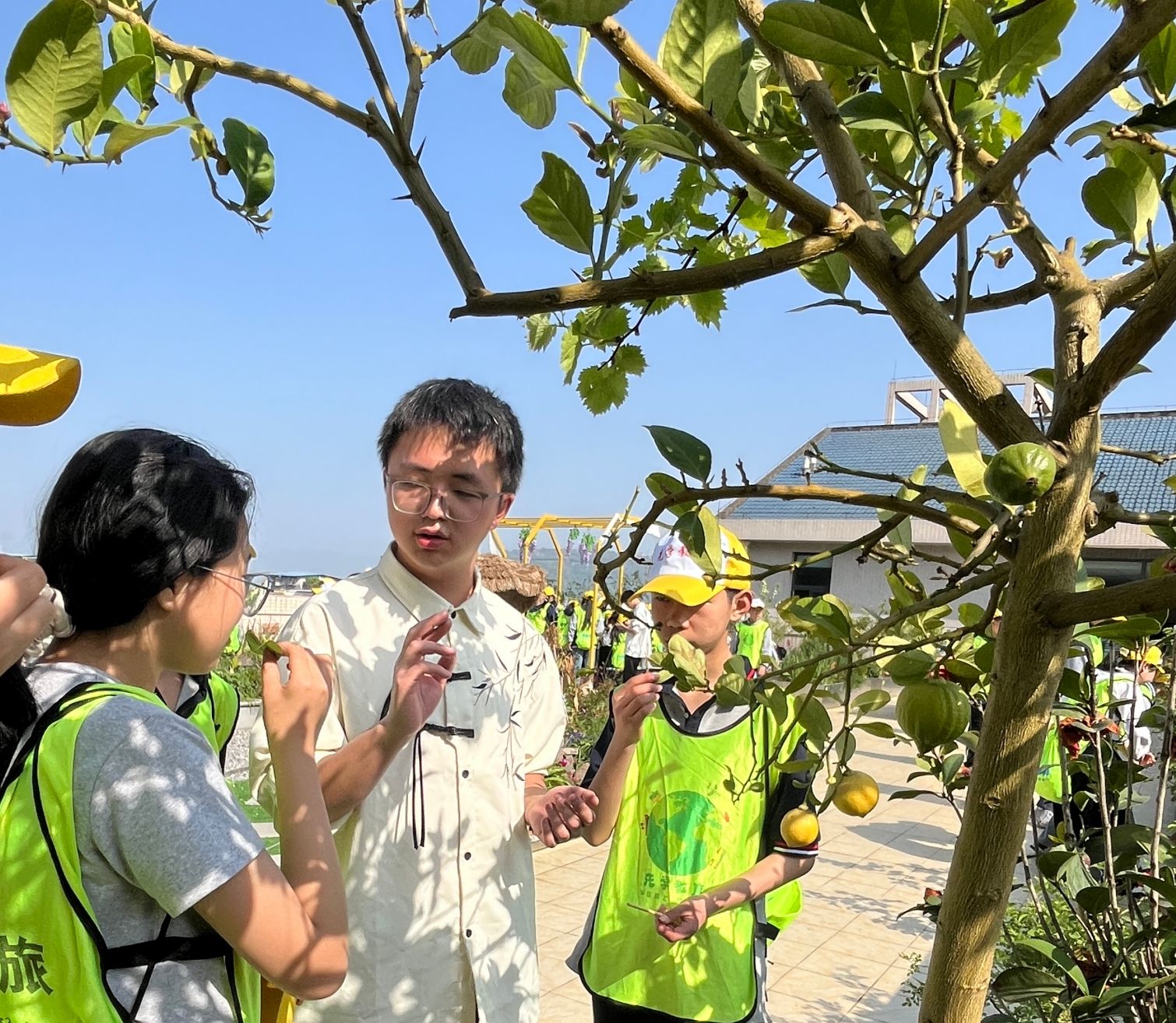 太阳成集团tyc122ccvip