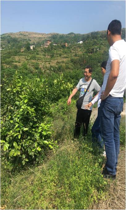 太阳成集团tyc122ccvip