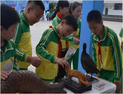 太阳成集团tyc122ccvip