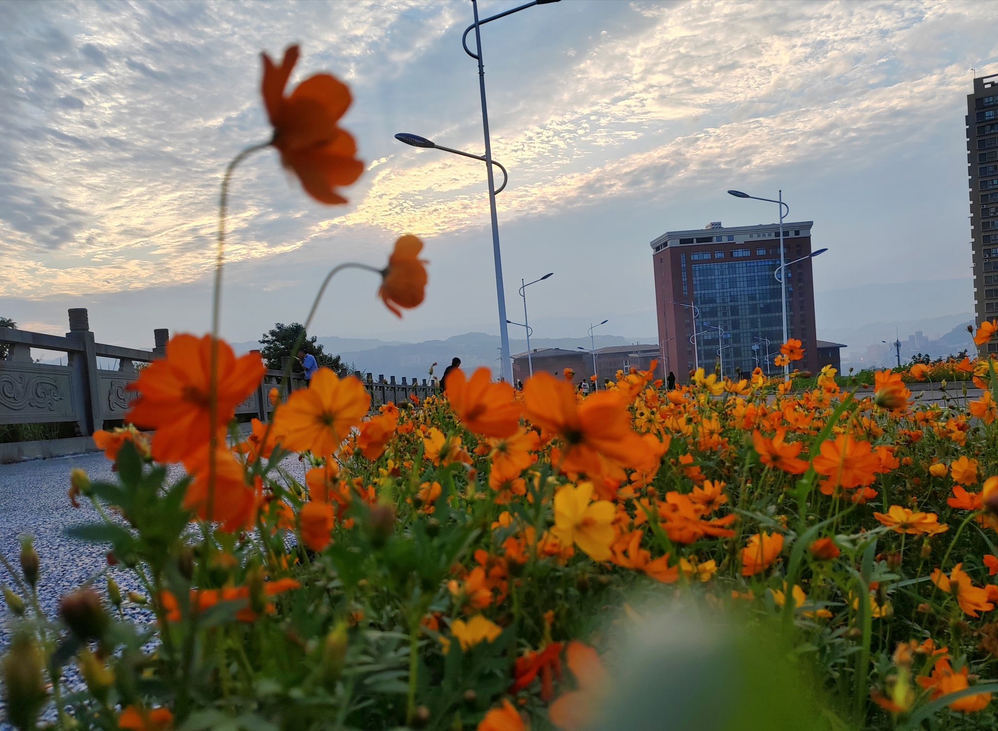 太阳成集团tyc122ccvip