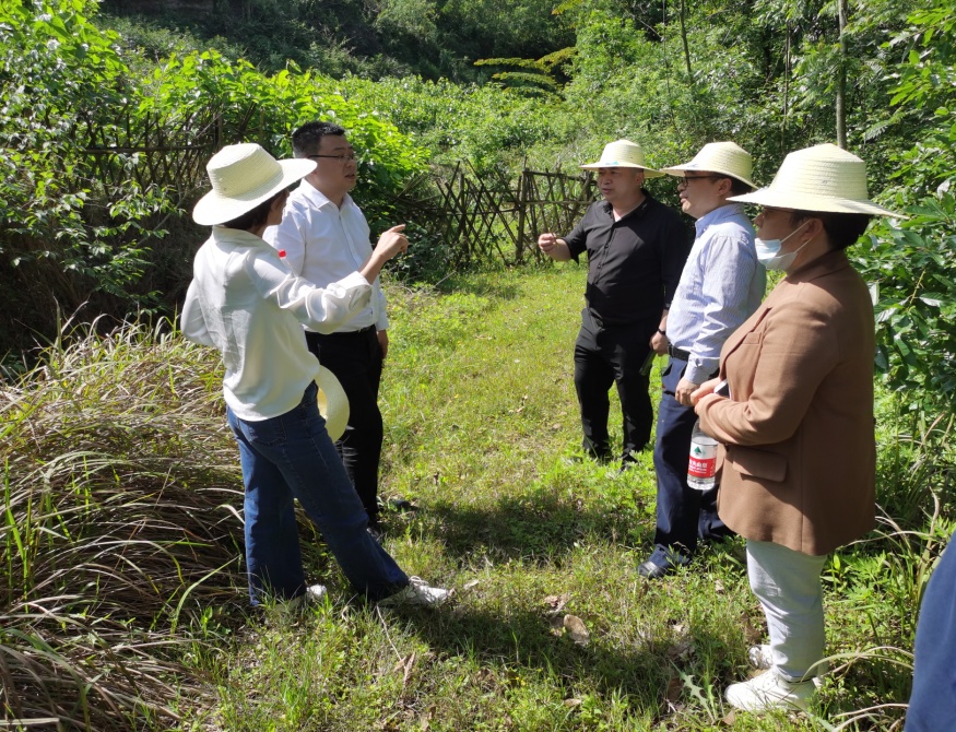 太阳成集团tyc122ccvip