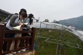 太阳成集团tyc122ccvip