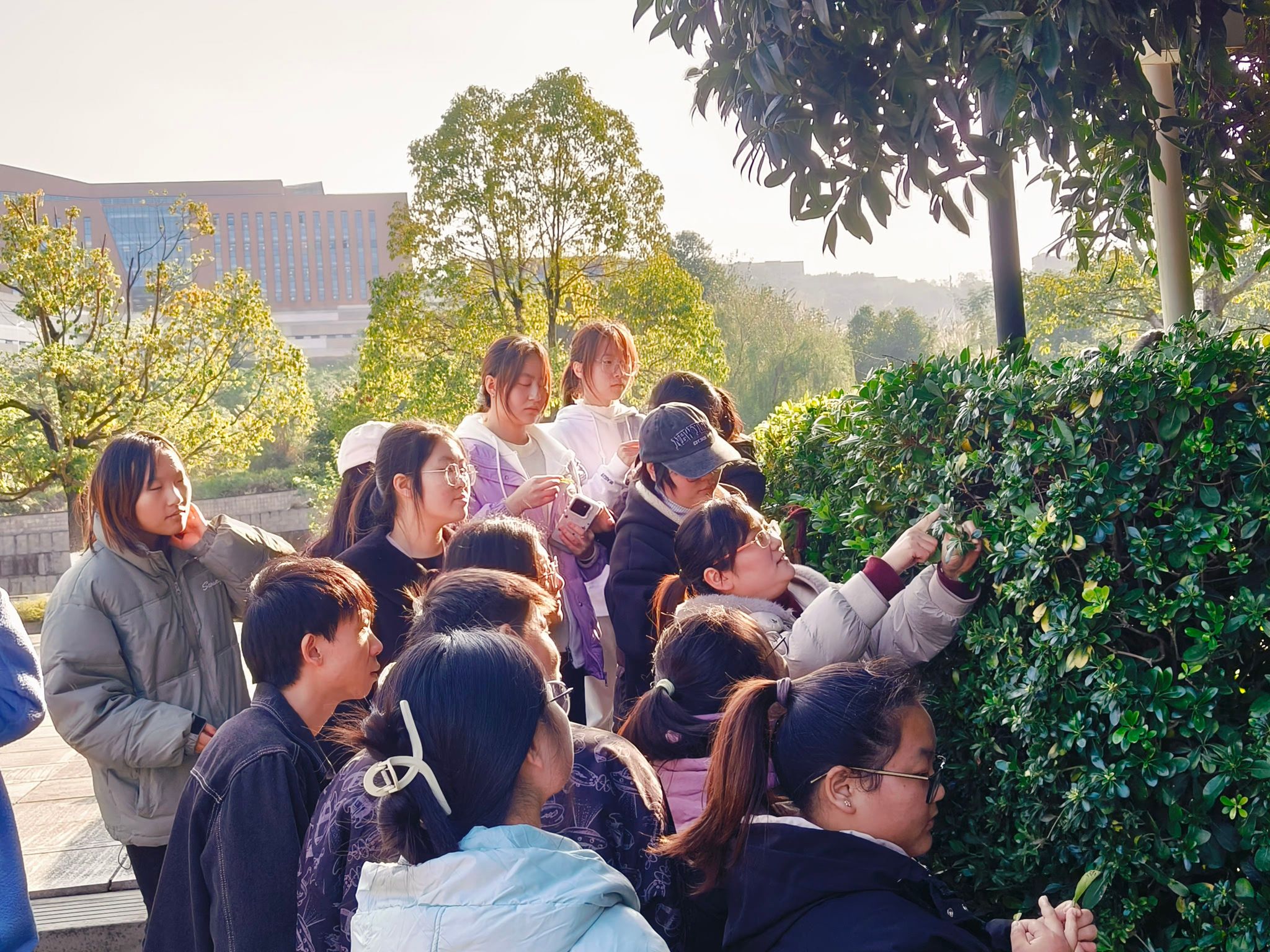 太阳成集团tyc122ccvip