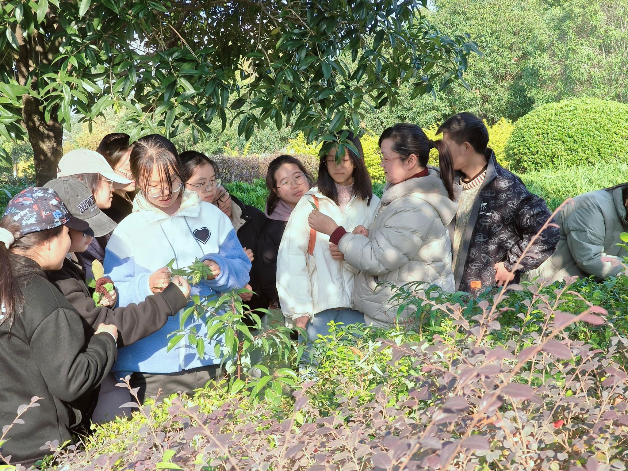 太阳成集团tyc122ccvip