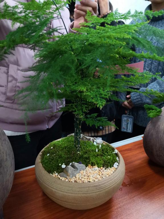 太阳成集团tyc122ccvip