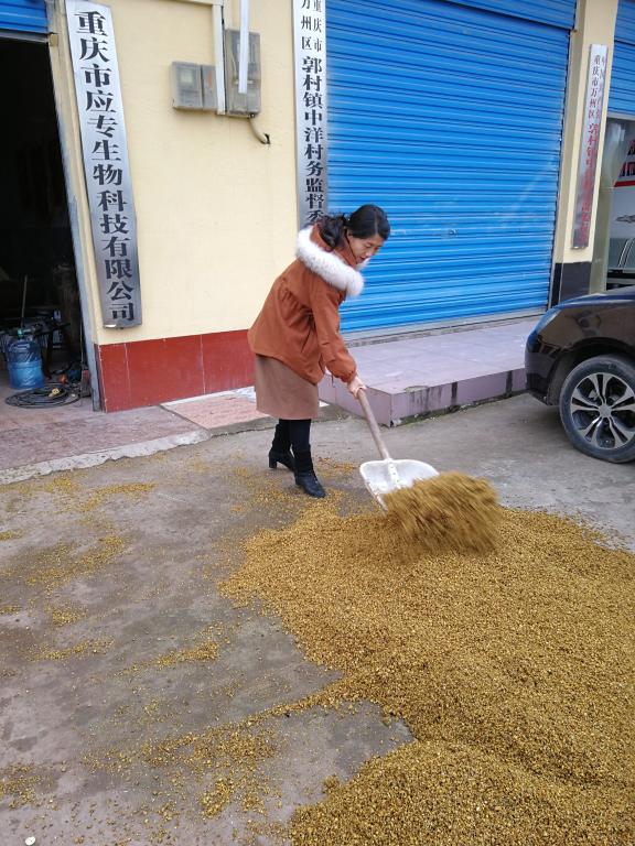 太阳成集团tyc122ccvip