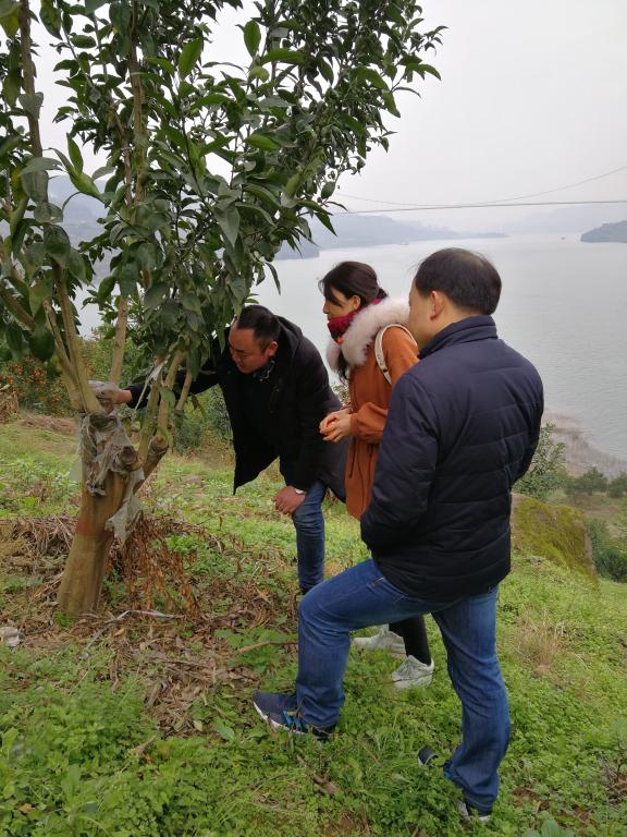 太阳成集团tyc122ccvip