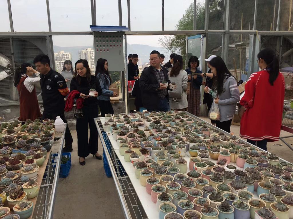 太阳成集团tyc122ccvip