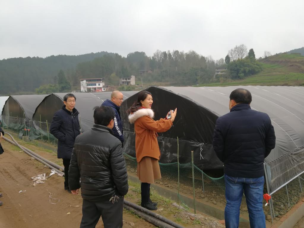 太阳成集团tyc122ccvip