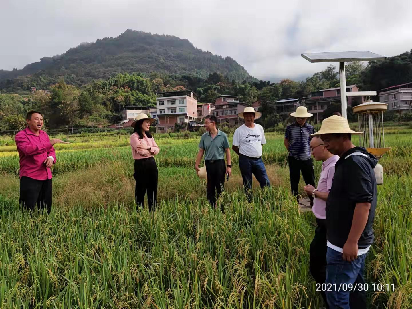 太阳成集团tyc122ccvip