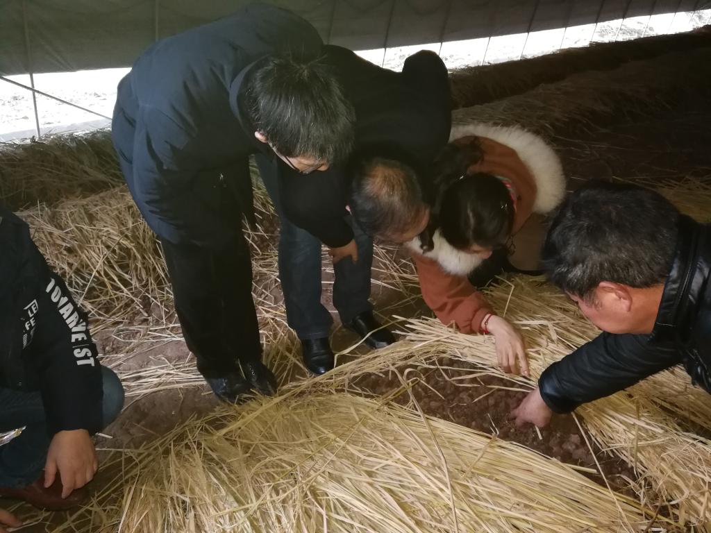 太阳成集团tyc122ccvip