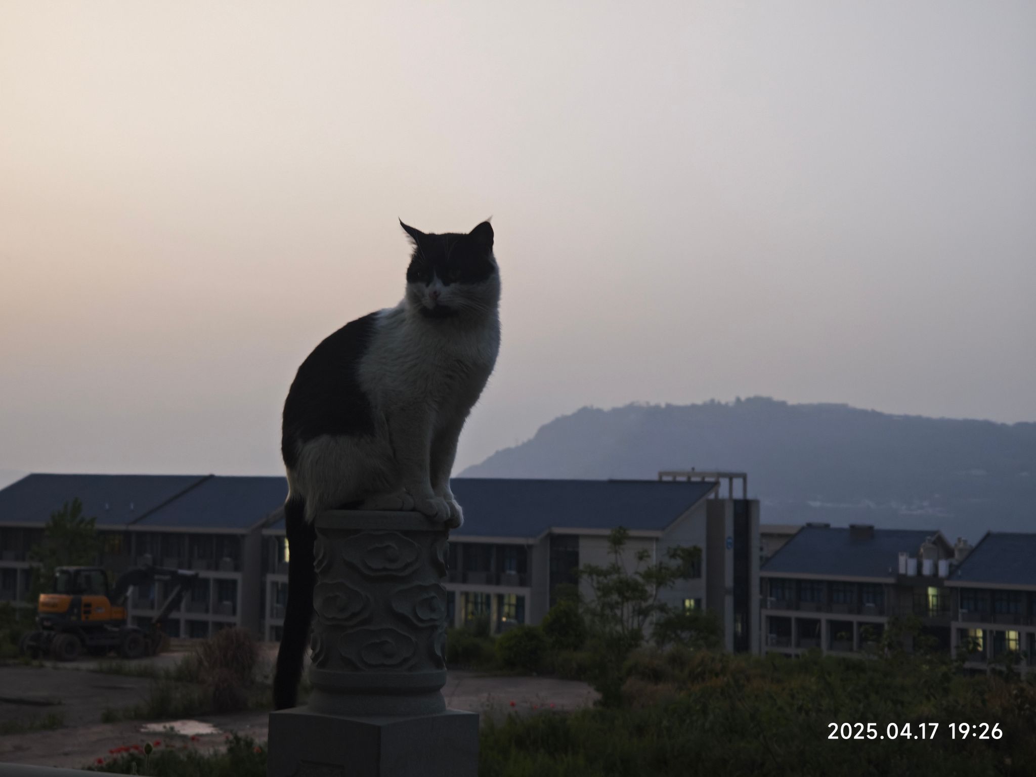 太阳成集团tyc122ccvip