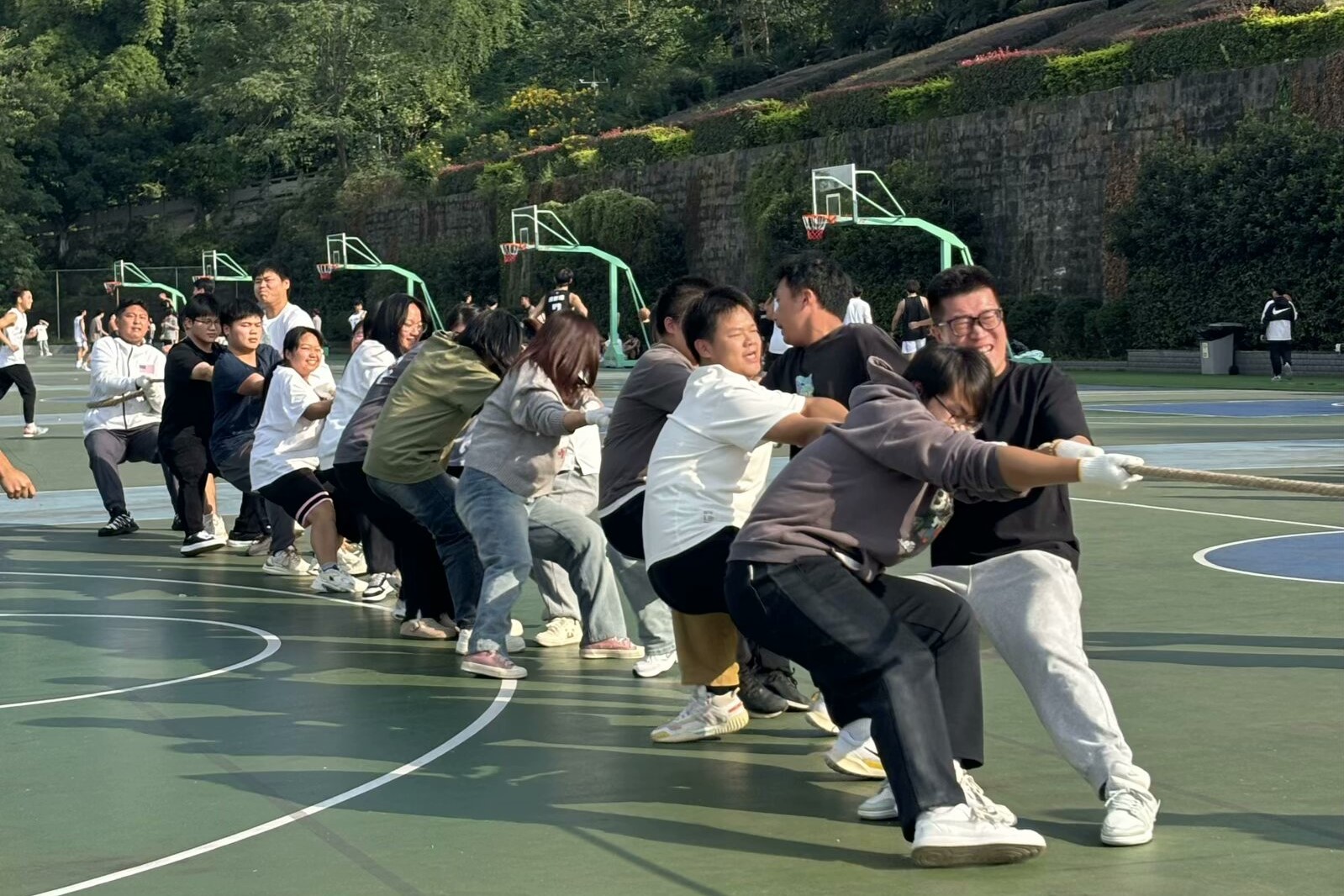 太阳成集团tyc122ccvip