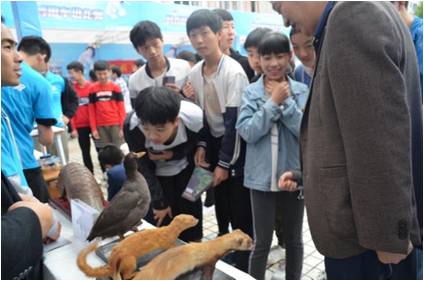 太阳成集团tyc122ccvip