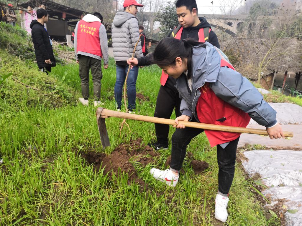 太阳成集团tyc122ccvip