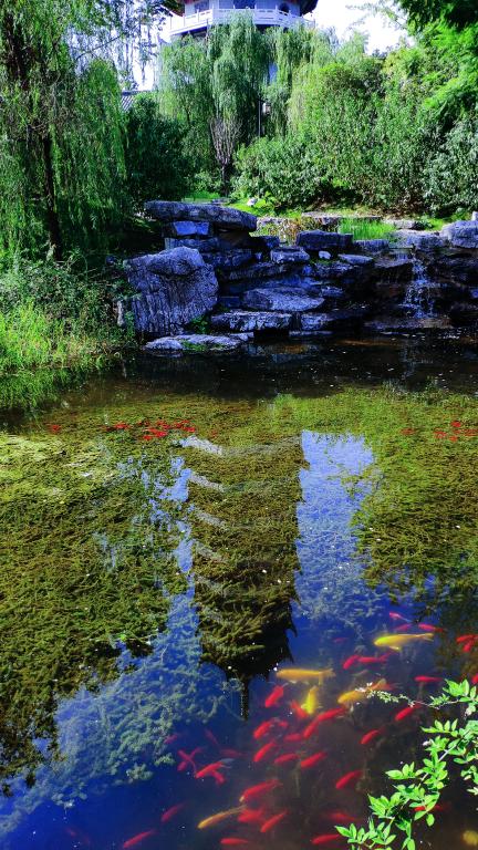 太阳成集团tyc122ccvip