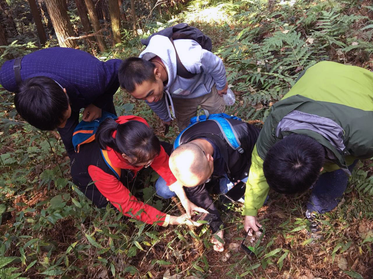 太阳成集团tyc122ccvip