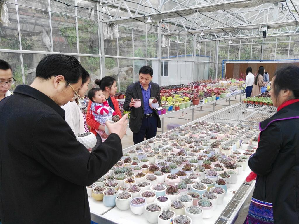 太阳成集团tyc122ccvip