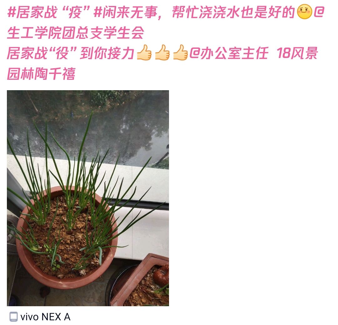 太阳成集团tyc122ccvip