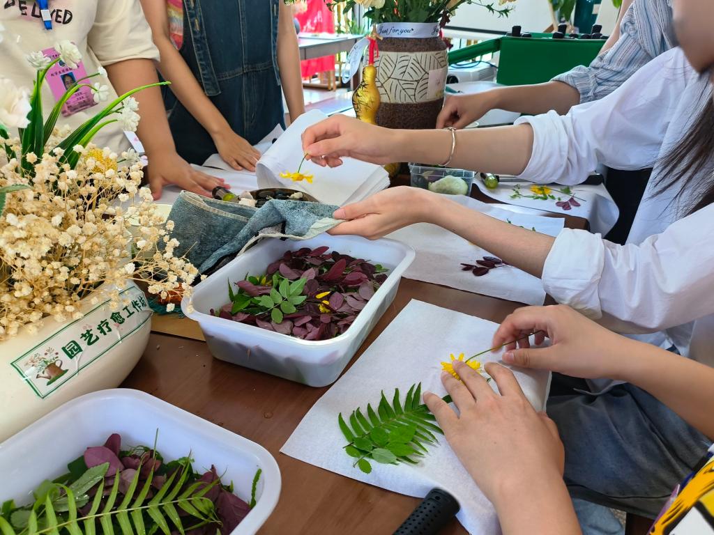 太阳成集团tyc122ccvip