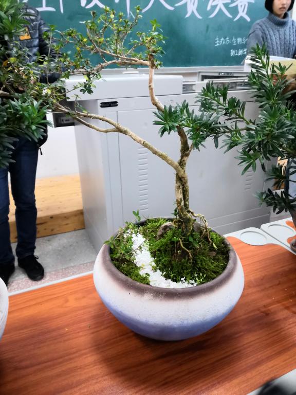 太阳成集团tyc122ccvip