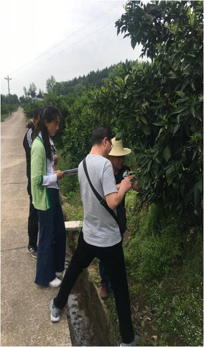 太阳成集团tyc122ccvip