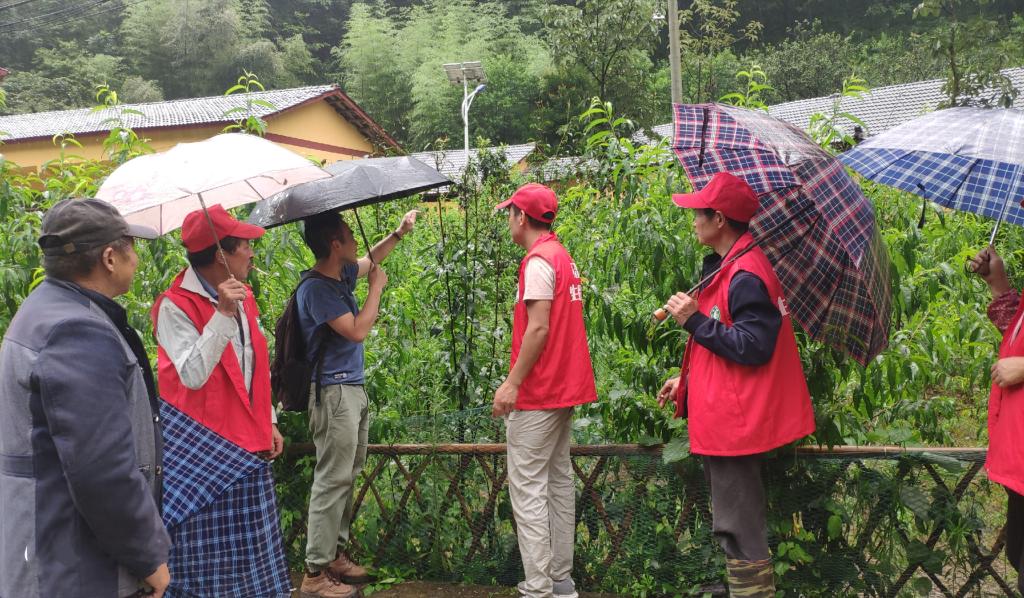 太阳成集团tyc122ccvip