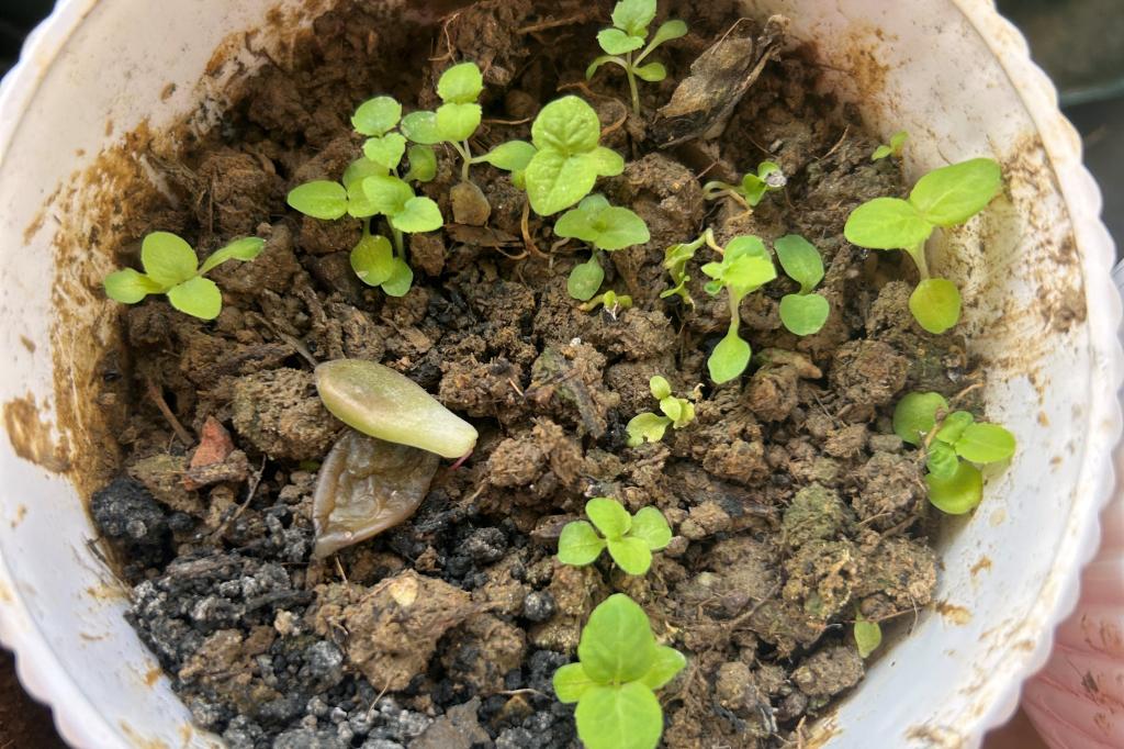 太阳成集团tyc122ccvip