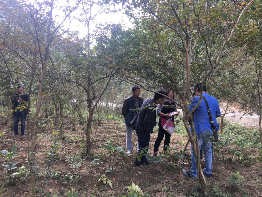 太阳成集团tyc122ccvip