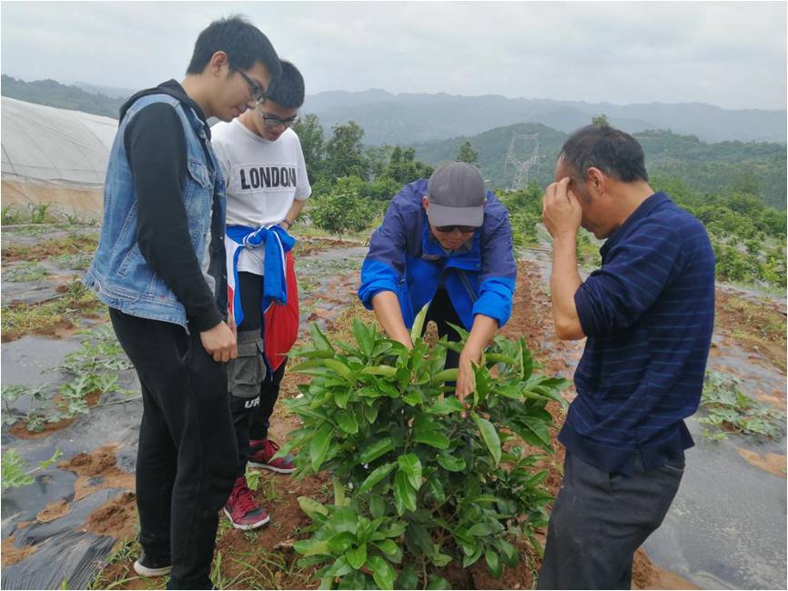 太阳成集团tyc122ccvip