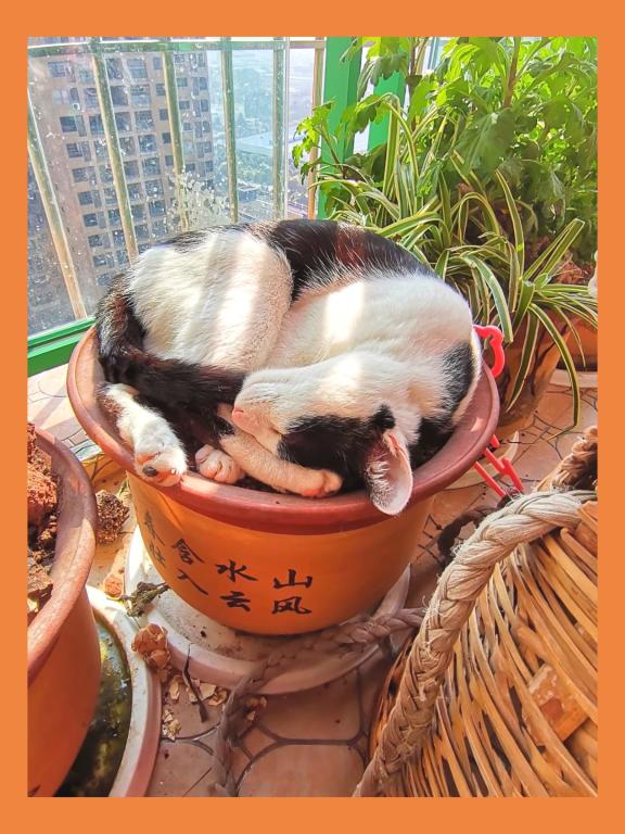 太阳成集团tyc122ccvip