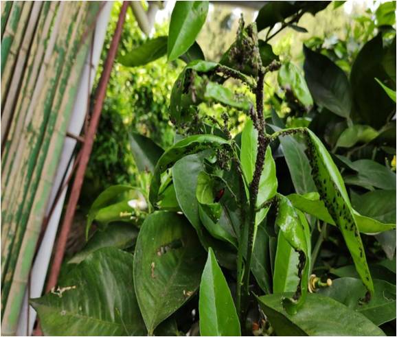 太阳成集团tyc122ccvip