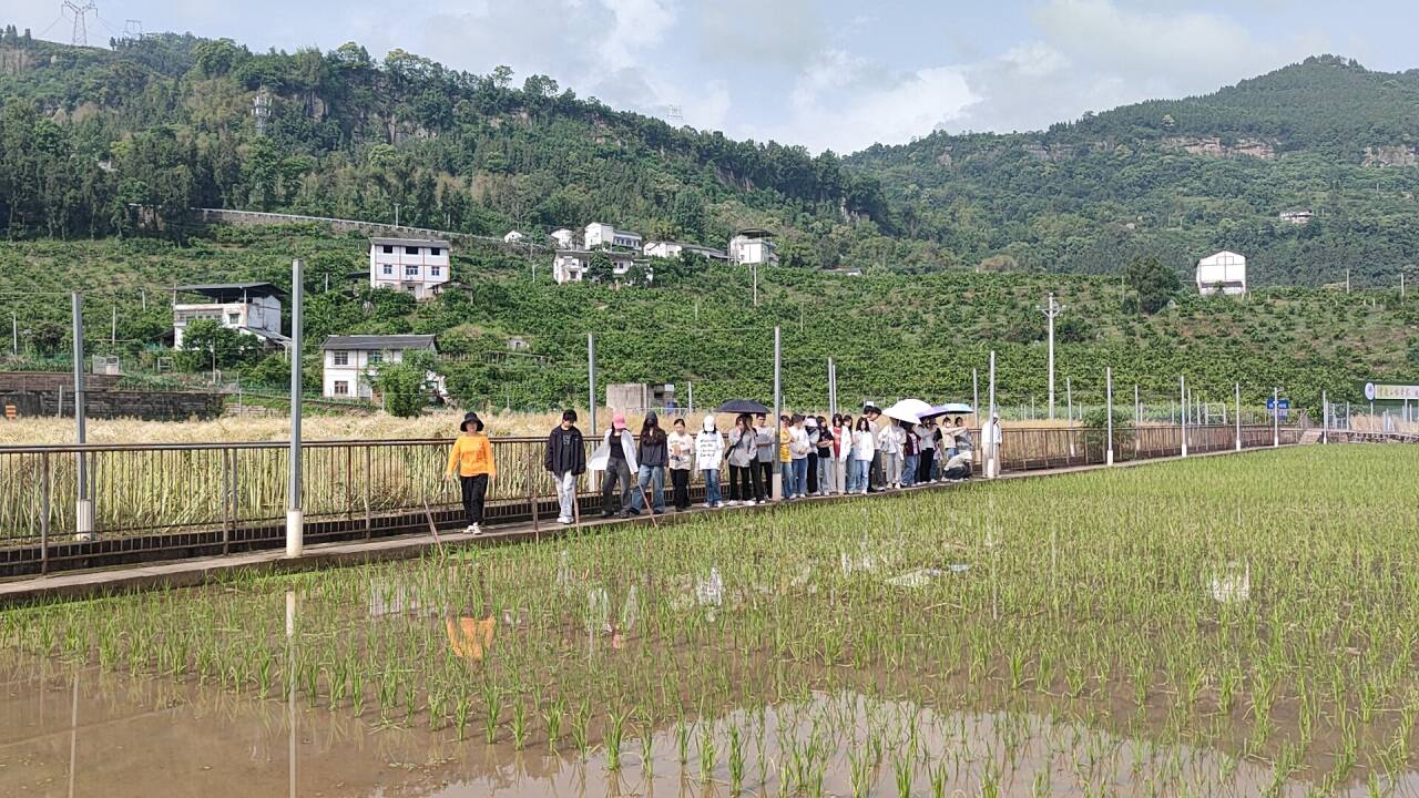 太阳成集团tyc122ccvip